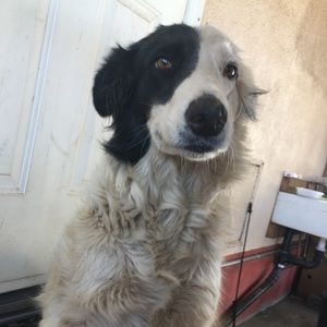 Meet your Posher, Maggie